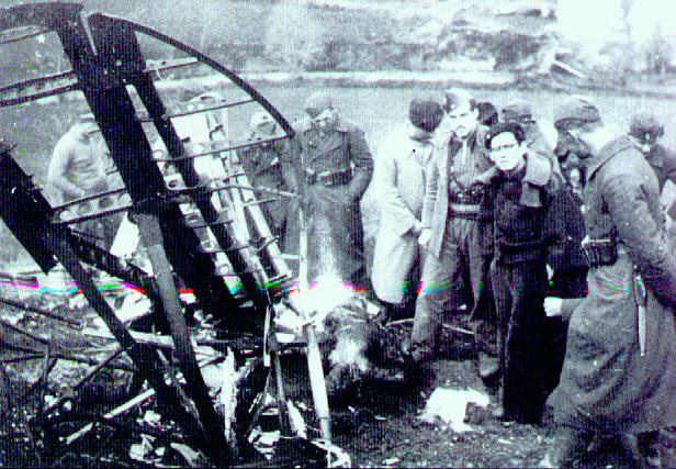 Chato derribado en el Norte